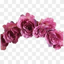 Check spelling or type a new query. Free White Flower Png Transparent Images Page 4 Pikpng