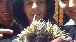 Man bailed over Piggie selfie charge