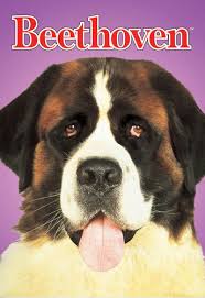 Beethoven is a 1992 family comedy film, directed by brian levant and starring charles grodin and bonnie hunt. Beethoven Own Watch Beethoven Universal Pictures