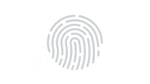 Https Encrypted Tbn0 Gstatic Com Images Q Tbn And9gct Wsxcicm8camr1mqgl32nt7icxprdiy5zja Usqp Cau