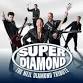 Super Diamond - The Neil Diamond Tribute