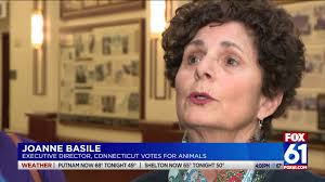 Animal advocates push bill to cut off puppy-mill pipeline