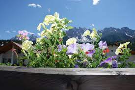 Appartamenti.molto panoramica a san candido. Appartamenti Lilly San Candido Alta Pusteria