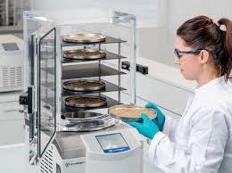 Image result for Striga passargei