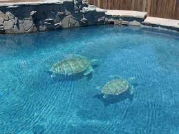 Changing The Look Of Swimming Pools 3d Ceramic Tile Art Swimming Pool Tiles Mosaic Pool Swimming Pool Remodeling