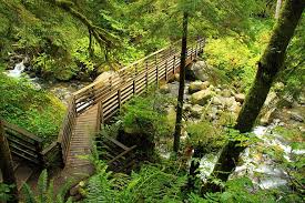 The power and majesty on show at wallace falls state park elicits feelings of wonder and awe for anyone lucky enough to visit. Wallace Falls Railway Trail Washington Trails Traillink