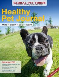 We formulated a valuable petfood rich in vitamins and minerals. Global Pet Foods Healthy Pet Journal Summer 2016 By Global Pet Foods Issuu