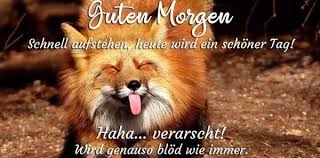 Schonen Guten Morgen Spruche