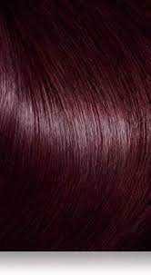 My New Hair Color Cherry Brown Hair Foam Hair Color Hair Shades
