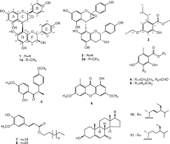 Image result for Cassipourea gummiflua