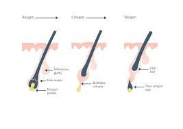 It commonly occurs after some type of hair removal (shaving, plucking, waxing or other methods). Electrolysis Lesprit Medical Clinic