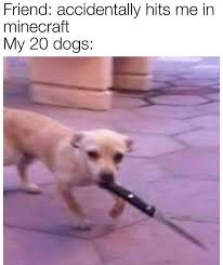 Meme S Quotes Memes Its Memes Laughing Memes Memes Quotes Funnie Memes I Meme Truthful Memes H Funny Dog Memes Funny Animal Memes Funny Relatable Memes