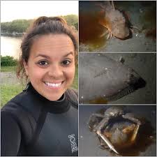 Octopus sightings in Rhode Island waters