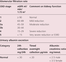 Image result for Renal Function