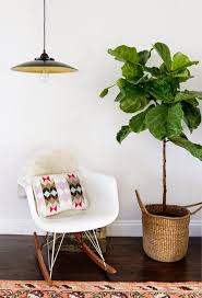 Danielle Oakey Interiors Fiddle Leaf Fig Tree Love Diy Pendant Lamp Ikea Lighting Ikea