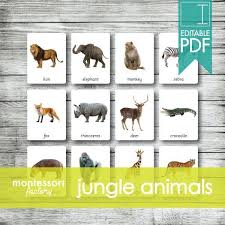 Jungle Animals Montessori Nomenclature Flash 3 Parts Cards Educational Material Homeschooling Fillable Edi Jungle Animals Wildlife Animals Animals