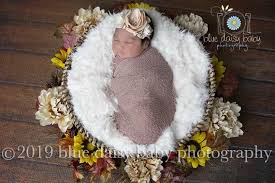 Our avas flowers coupons, promos and discount codes. Web Nursery Kaweah Health