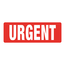 نتیجه جستجوی لغت [urgent] در گوگل