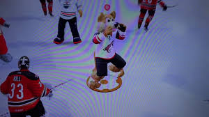 Put your coyotes display on pride for all to see with this arizona coyotes mascot moon 4x4 perfect. Nhl 18 Custom Goal Celebrations Howler Arizona Coyotes Mascot Youtube