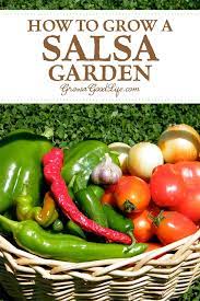 You can use all 6 of the plants below in many, many meals for your family. How To Grow A Salsa Garden