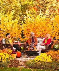 Pin On Garden Ideas Garden Design