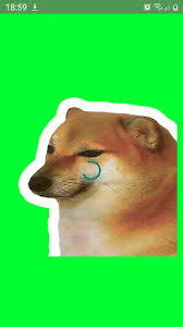 The main character is marcus holloway, a young hacker. Download Stickers Chidos De Cheems Doge Para Whatsapp Free For Android Stickers Chidos De Cheems Doge Para Whatsapp Apk Download Steprimo Com