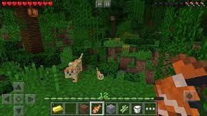 Due to a planned power outage, our services will be reduced today (june 15) starting at 8:30am pdt until the work is complete. Minecraft Iphone Ipad App Download Chip