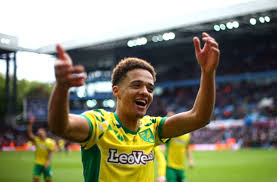 🟡 official twitter account of norwich city football club. Newcastle Confirms The Signing Of Jamal Lewis From Norwich City