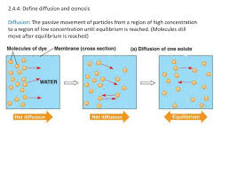 Ppt 2 4 4 Define Diffusion And Osmosis Powerpoint Presentation Free Download Id 2462264