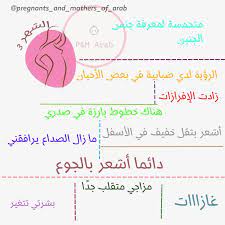 تقلباتك المزاجية وما تمرين به في الشهر الثالث من الحمل oio journal bullet journal