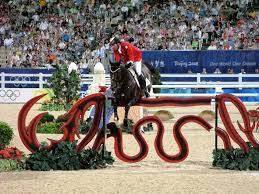 On november 6 of 2011, 15 year old dutch warmblood, hickstead had collapsed while competing in verona csi in italyl the happenings of his death are not yet. Hickstead Horse Wikipedia