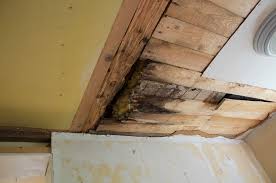 Image result for site:byggahus.se träskada