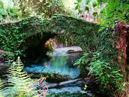 Maybe you would like to learn more about one of these? Pin By Cecilia Gonzalez On Places I Like To Go Ocala National Forest Florida Adventures Florida Travel