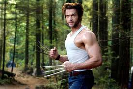 Image result for wolverine