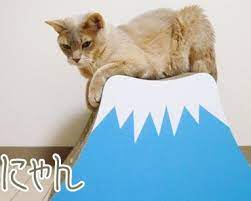 Mt Fuji Nyan Cat Scratching Post Japan Trend Shop