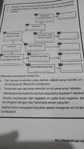Sebagai bahan latihan menghadapi ulangan kenaikan kelas (ukk) semester genap atau penilaian akhir tahun tahun pelajaran 2019/2020 berikut di sajikan link download soal latihan dan pembahasaan ulangan kenaikan kelas ukk untuk kelas. Tolong Dijawab Kak Ipa Kelas 7 Semester 1 Halaman 53 Brainly Co Id