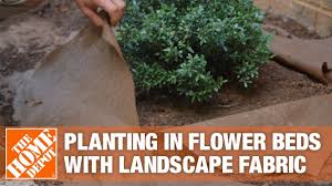 To keep weeds at bay, you need to provide an environment where they are. What Kills Weeds Permanently So They Never Come Back Yard Blogger