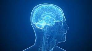 Global aphasia is a severe form of nonfluent aphasia, caused by damage to the left side of the brain, that affects receptive and expressive language skills (needed for both written and oral language) as well as auditory and visual comprehension. Afasia Global Sintomas Causas E Tratamento Maestrovirtuale Com