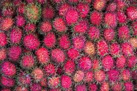 Contact cactus thailand on messenger. Fruits Of Thailand Healthy Delicious Food You Must Try
