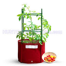 Find all your tomato growing supplies such as tomato planter boxes, drip kits, and soil additives like glacial rock dust and pumice rock. Bloombagz Big Tomato Planter Box China Manufacturer Supplier Factory