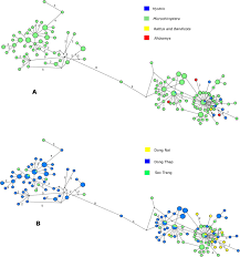 I like you;finally wait for you;this is not what i expected;xi huan ni;wo xi huan ni;喜欢你;我喜欢你;终于等到你 i have been watching this genre for so long even in ancient dramas. Coronavirus Testing Indicates Transmission Risk Increases Along Wildlife Supply Chains For Human Consumption In Viet Nam 2013 2014 Biorxiv