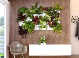 Mur Vegetal Interieur En 80 Idees Pour La Maison Ecologique Mur Vegetal Interieur Mur Vegetal Jardins Verticaux Interieurs