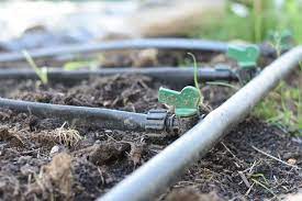 Installing Drip Irrigation Little Farmhouse Flowers