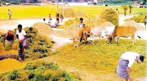 অগ্রাণে নবান্নে উৎসবে