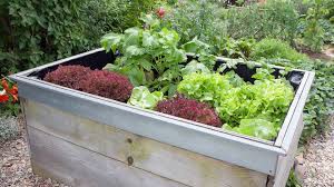 Beim anlegen eines hochbeets sollte vor allem darauf. Hochbeet Anlegen Befullen Und Gemuse Pflanzen Ndr De Ratgeber Garten