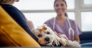 (11 days ago) at healthy pets animal hospital our primary task is to encourage the pet family bond by maintaining the highest standards in veterinary medicine. Revisit Vaccinations Today S Veterinary Business