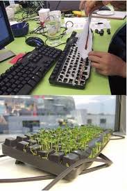 Op 1 april een grap uithalen? 1 April Grappen Posts Facebook