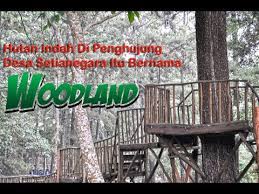 Kuningan dan 20 desa di kab. Hutan Indah Di Penghujung Desa Setianegara Itu Bernama Woodland Youtube