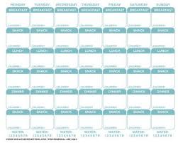 Free Printable Food Journal Weekly Food Diary For Diet Calorie Counting Free Download Jenallyson The Project Girl Food Journal Food Log Food Diary