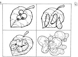 An official website of the united states government during its existence, a public charity has numerous. Life Cycle Butterfly Coloring Page Crafts And Worksheets For Preschool Toddler And Kindergarten